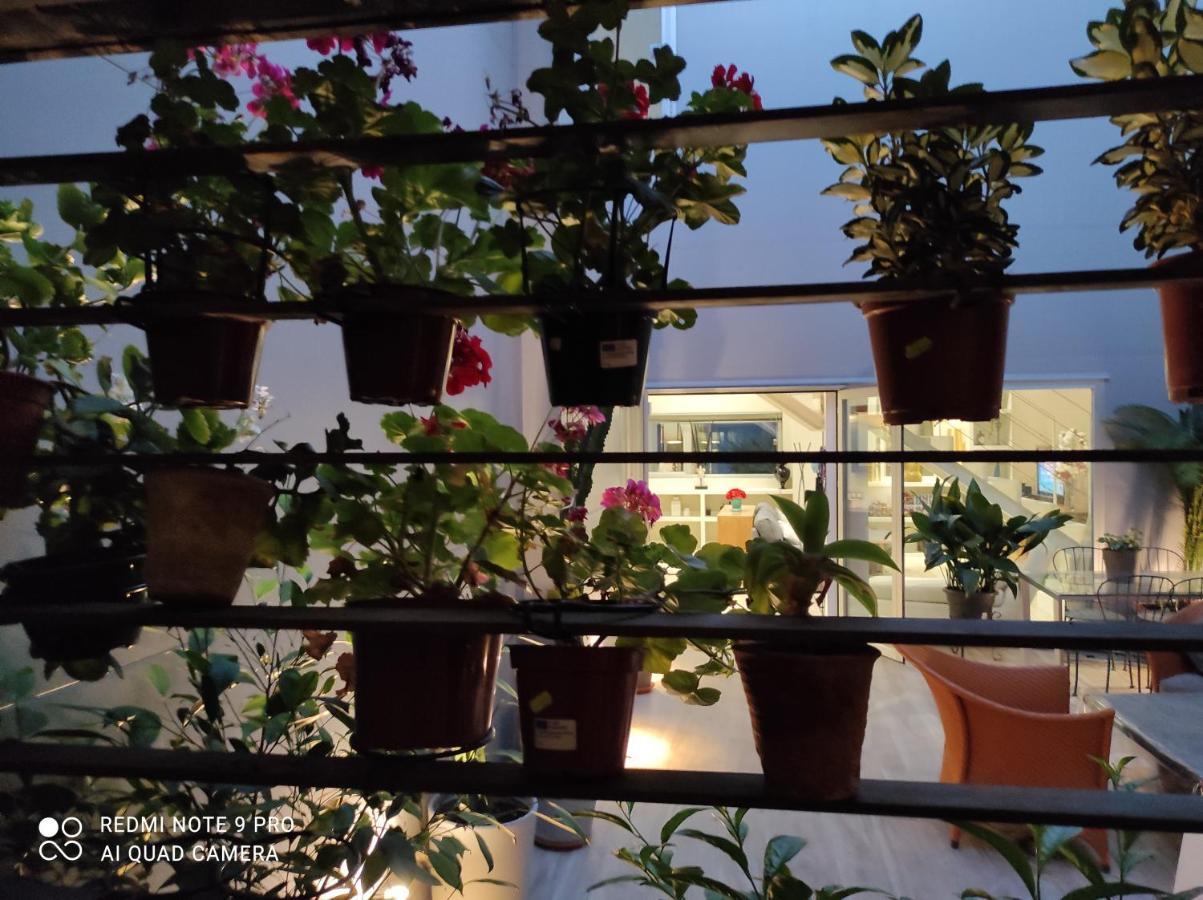 Habitacion Y Bano En Planta Independiente En Centro De Sevilla Bagian luar foto